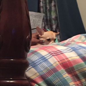 Meet your Posher, Naomi